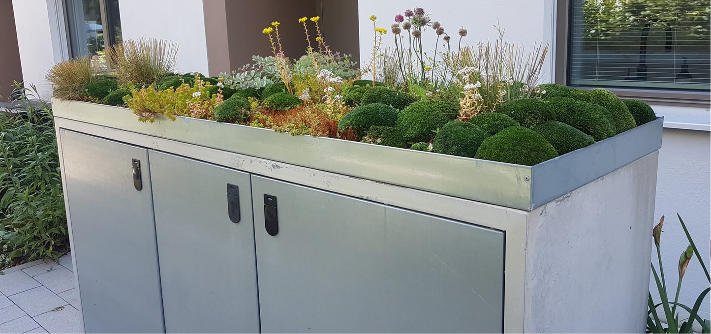 Pflanzwanne auf Maß Sonderanfertigung - Zink (Mülltonnenbox nicht enthalten)