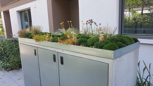 Pflanzsysteme für Garten & Terrasse – My Muelltonne