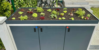 Pflanzwanne auf Maß Sonderanfertigung - Alu farbbeschichtet (Mülltonnenbox nicht enthalten)
