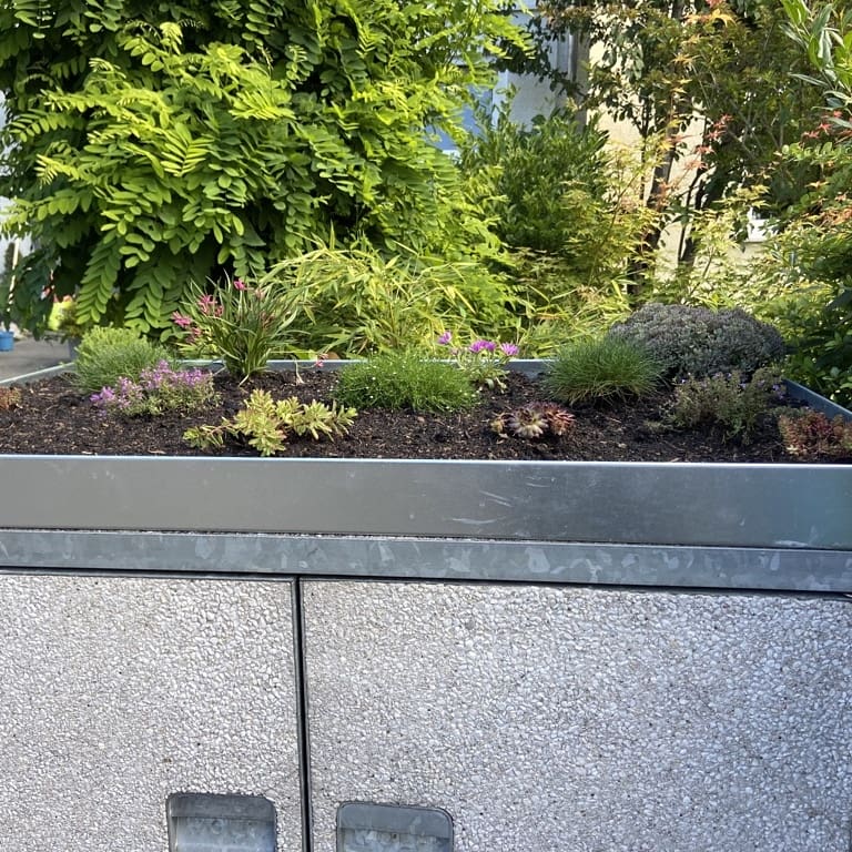 pflanzdach aluminium