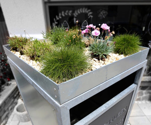 Pflanzwannen für Mülltonnenboxen - Maßanfertigung nach Wunsch – My  Muelltonne